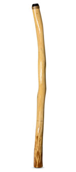 Peter Sherwood Didgeridoo (NV115)